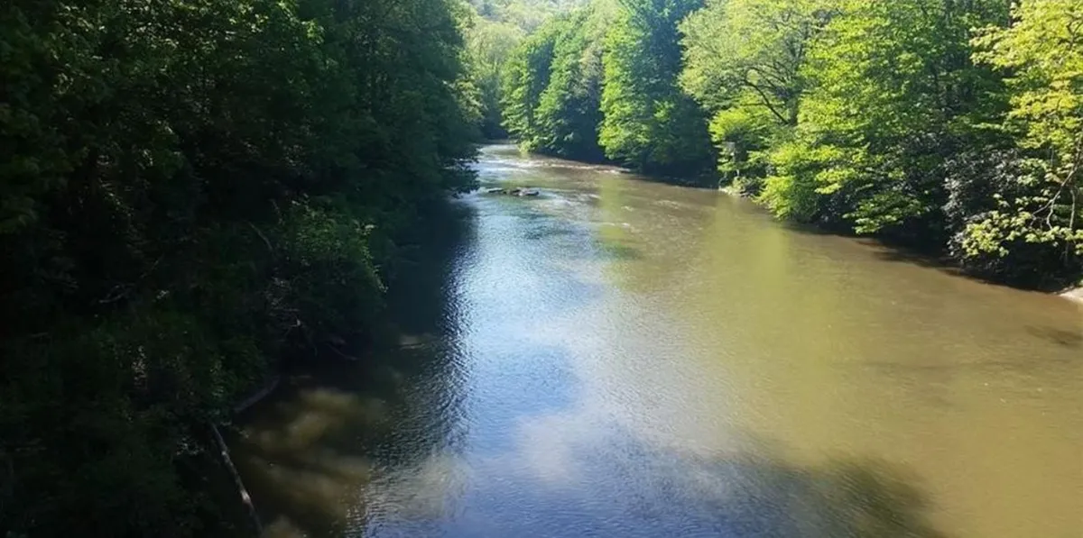 A tranquil river winds through lush trees, with calm waters ideal for kayaking, fishing, and family-friendly floating. The scene bathes in a soft, natural glow, inviting visitors to imagine themselves enjoying outdoor adventures by the water.
